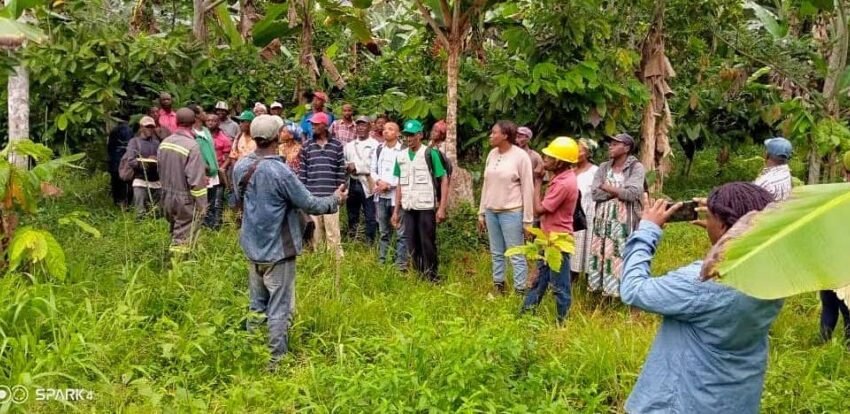  BUDGET 2023 : LE COPIL CITOYEN CONTESTE ET SAISIT LA COUR CONSTITUTIONNELLE