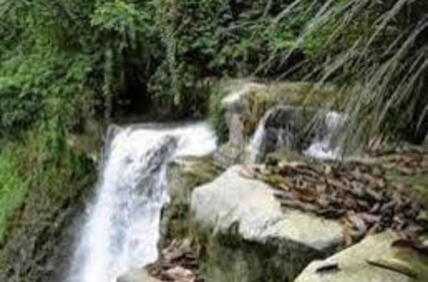  ENSEIGNEMENT SUPÉRIEUR : 3e ÉDITION DES JOURNÉES ALGÉBRIQUES AU GABON