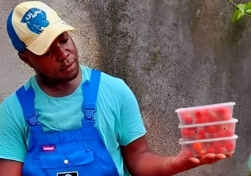  Entrepreneuriat : Mendome Ntolo révolutionne la fraisiculture en Afrique subsaharienne
