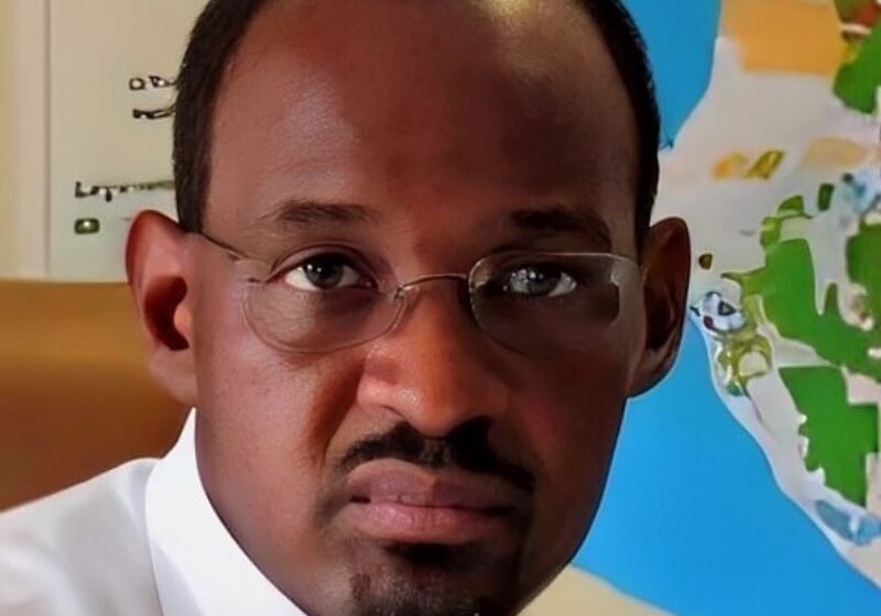  Détournement de fonds et vente illicite de permis forestiers : le DG Forêt, Ghislain Moussavou, arrêté par la DGR