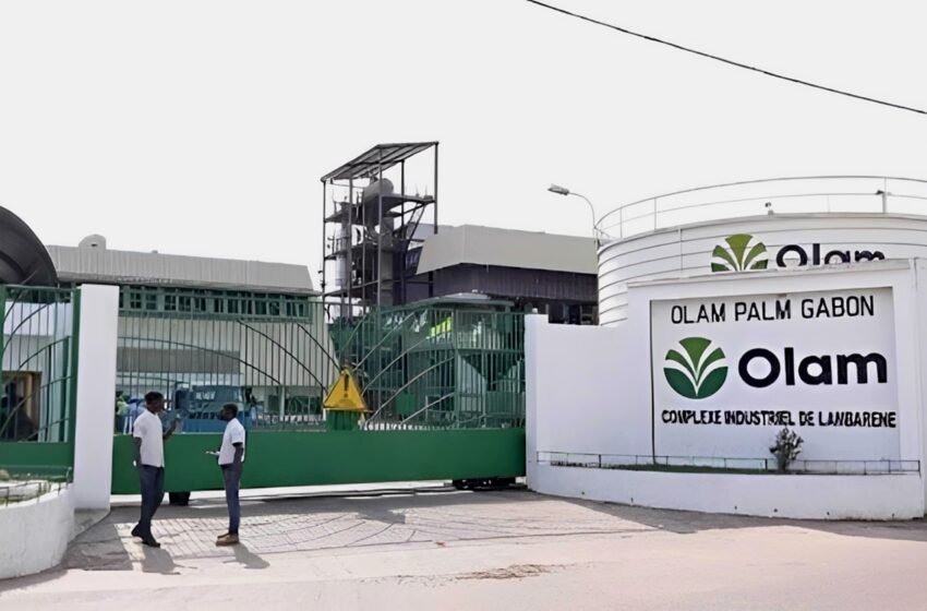 Olam Palm Gabon : sereine reprise des activités sur l&rsquo;ensemble des sites