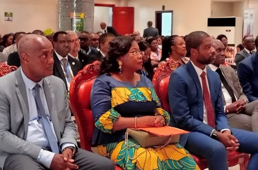  Validation du Plan National de Développement pour la Transition : Un cap stratégique pour le Gabon