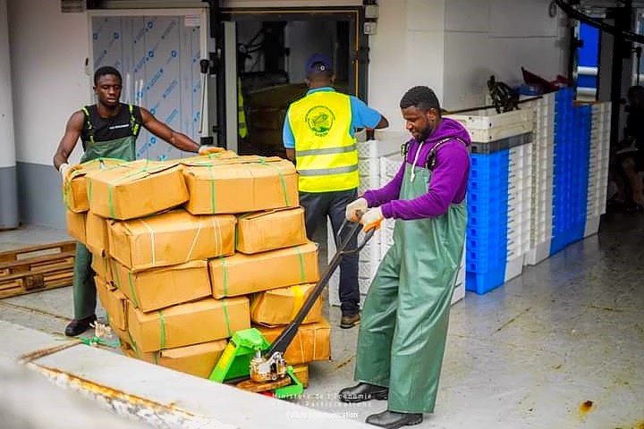  Arrivée de 120 tonnes de poisson frais au port d’Owendo : une mesure contre la vie chère