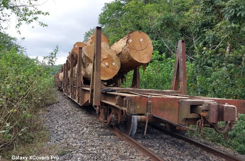  Déraillement d&rsquo;un train de marchandises sur le Transgabonais : Pas de victimes mais des perturbations
