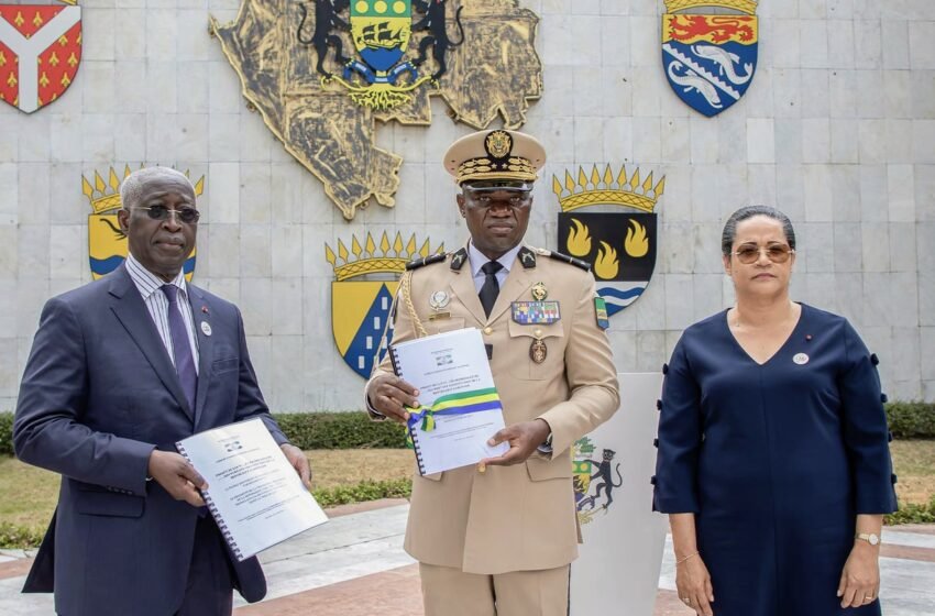  Nouvelle Constitution : l’Assemblée constituante, une coquille vide ?