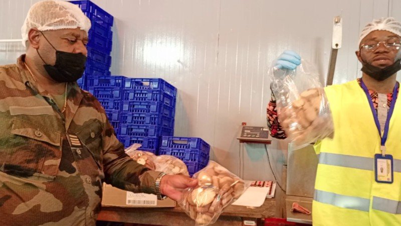  L’AGASA sur le terrain : un engagement renouvelé pour la sécurité alimentaire