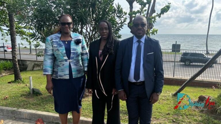  Affaire HPO : L’UDIS plaide pour son leader en exil