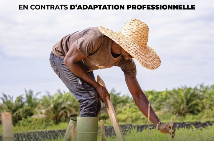  Former pour bâtir : Olam Palm Gabon engage 315 stagiaires en partenariat avec le PNPE