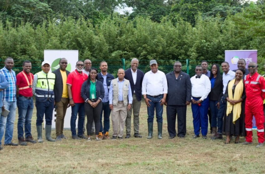  Visite immersive du Ministre du Travail : Début effectif du Programme de Recrutement des Stagiaires Olam Palm Gabon